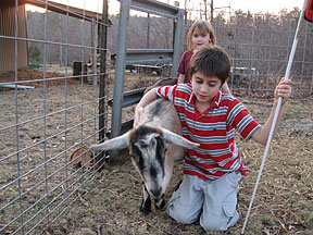 Ethan with a cane in one hand, and one arm around his goat.
